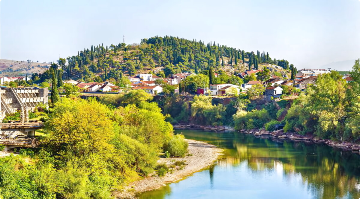 Nuestro inventario incluye una amplia variedad de vehículos.